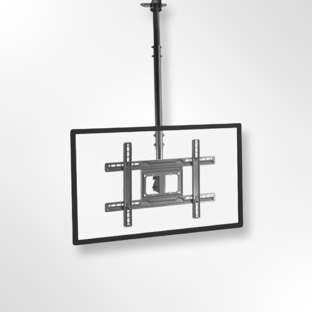 Ceiling Mounts